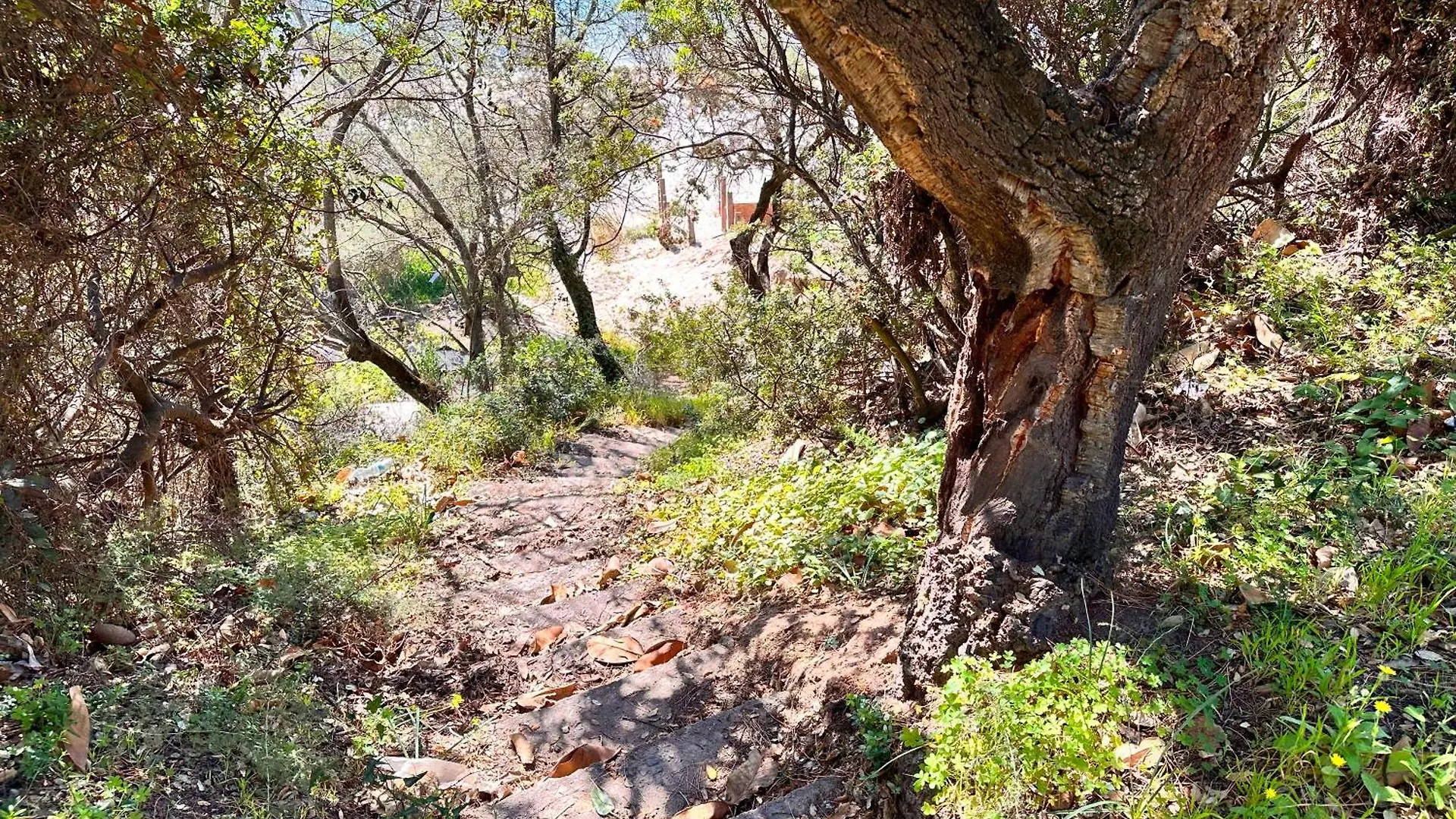 Pineta Sopra Il Mare Villa Santa Margherita di Pula Semesterbostad